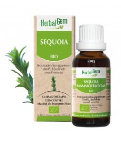 Sequoia (Sequoia gigantea) jp BIO, 15 ml